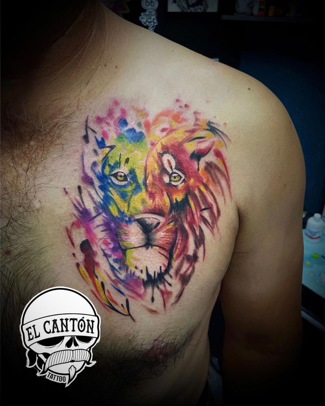 colorful lion