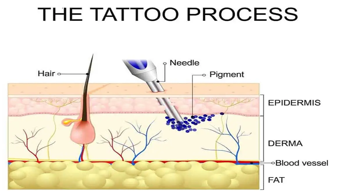 proceso de tatuaje
