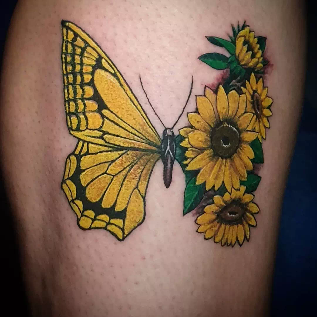 Butterfly and sunflower