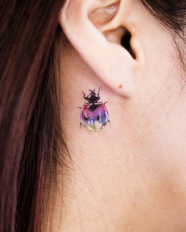 Colorful ladybug behind the tattoo hero tattoo