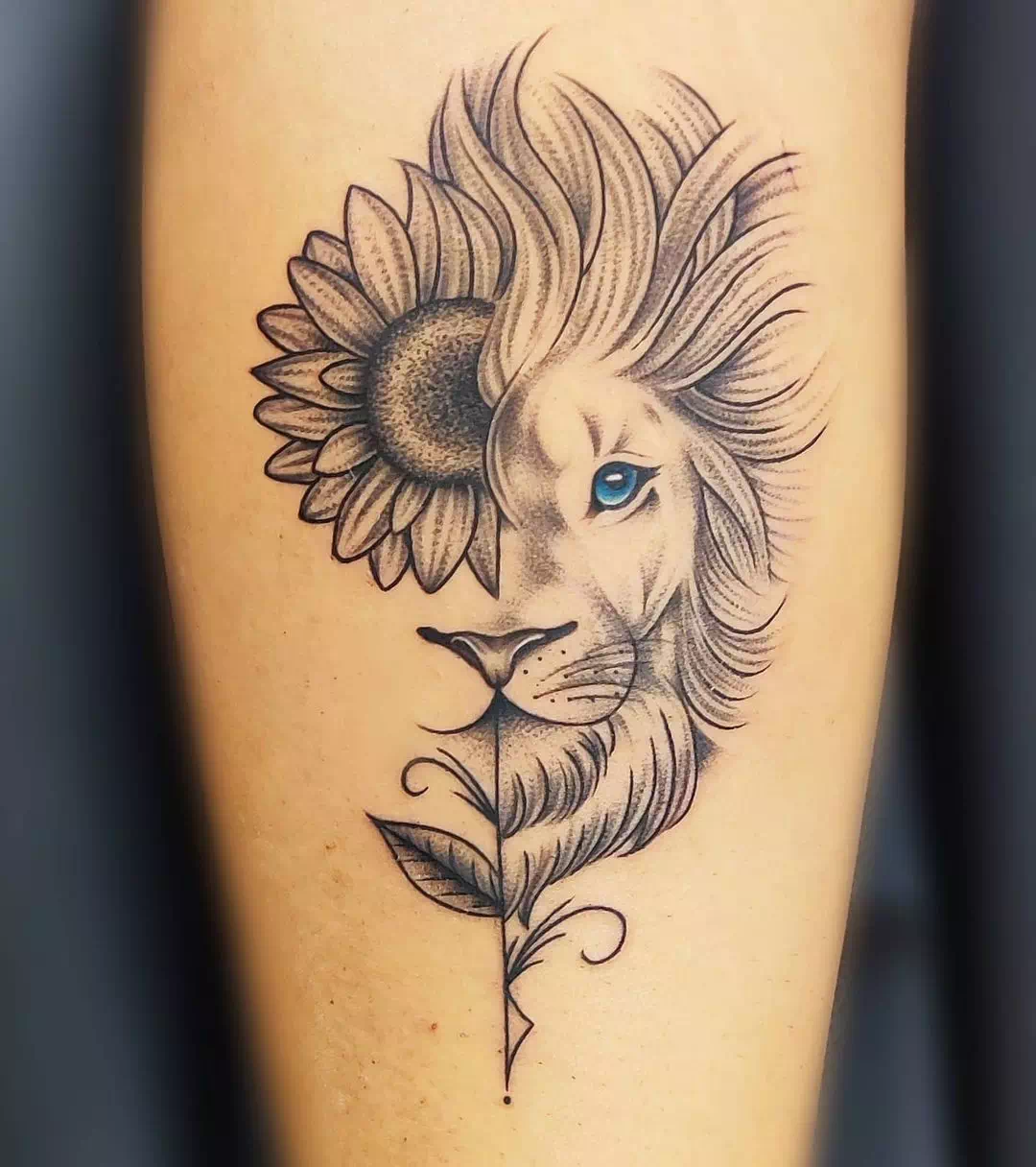 Lion sunflowers