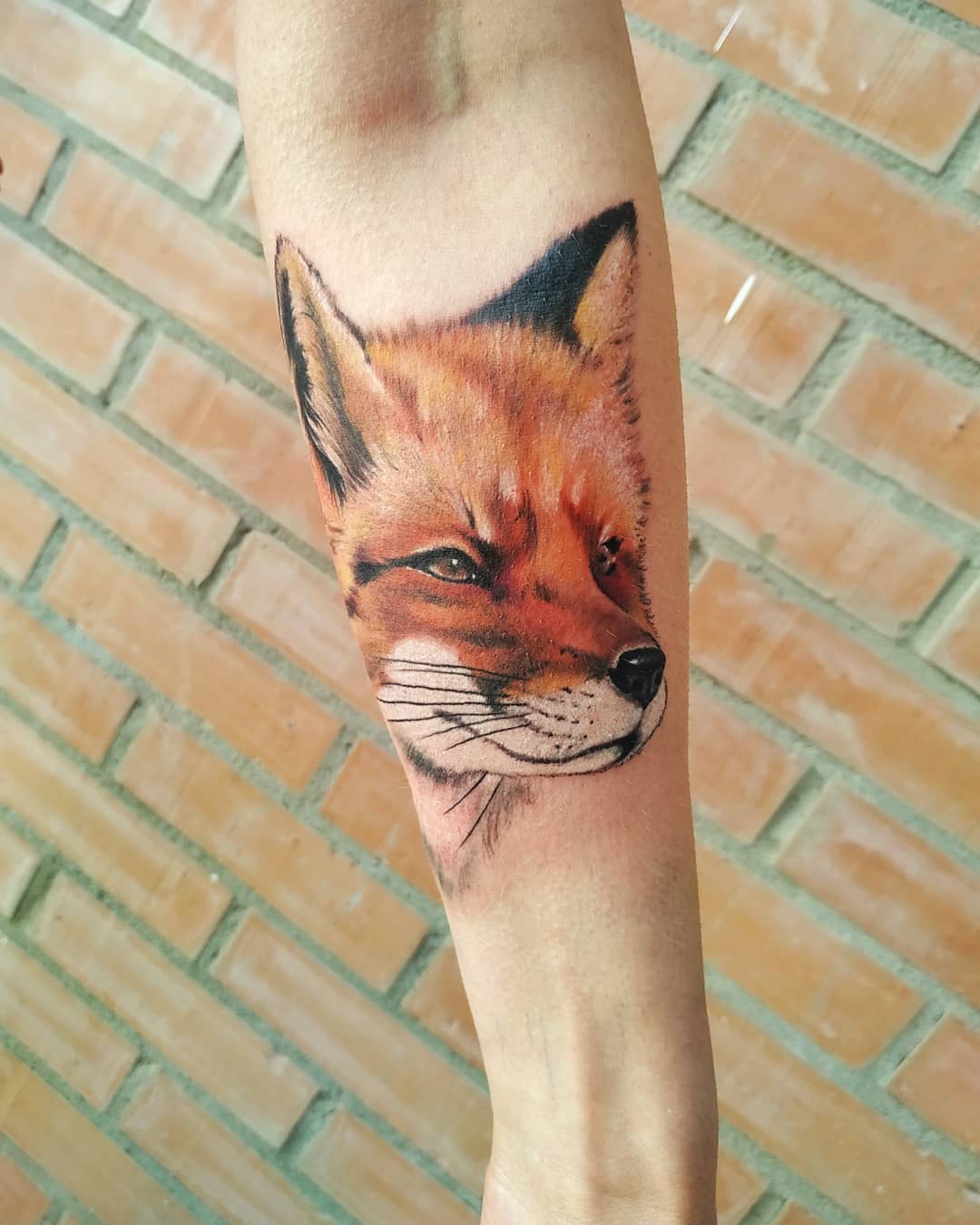 Red Fox Tattoo 2