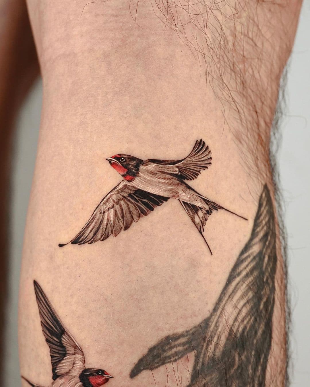 Swallow Tattoo 13