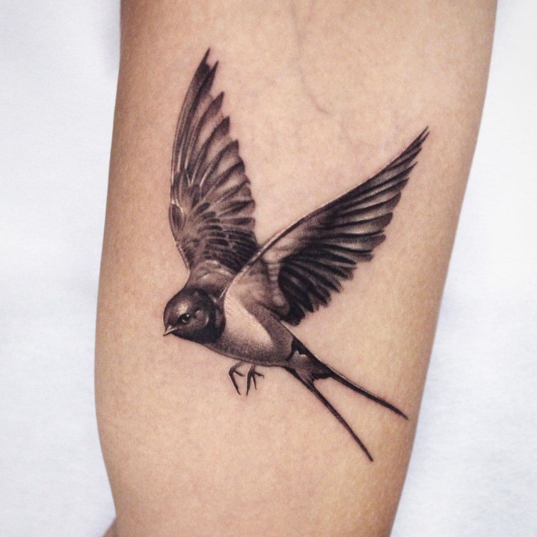 Swallow Tattoo 4