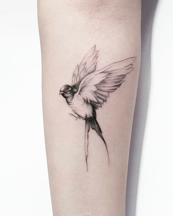 Swallow Tattoo 5