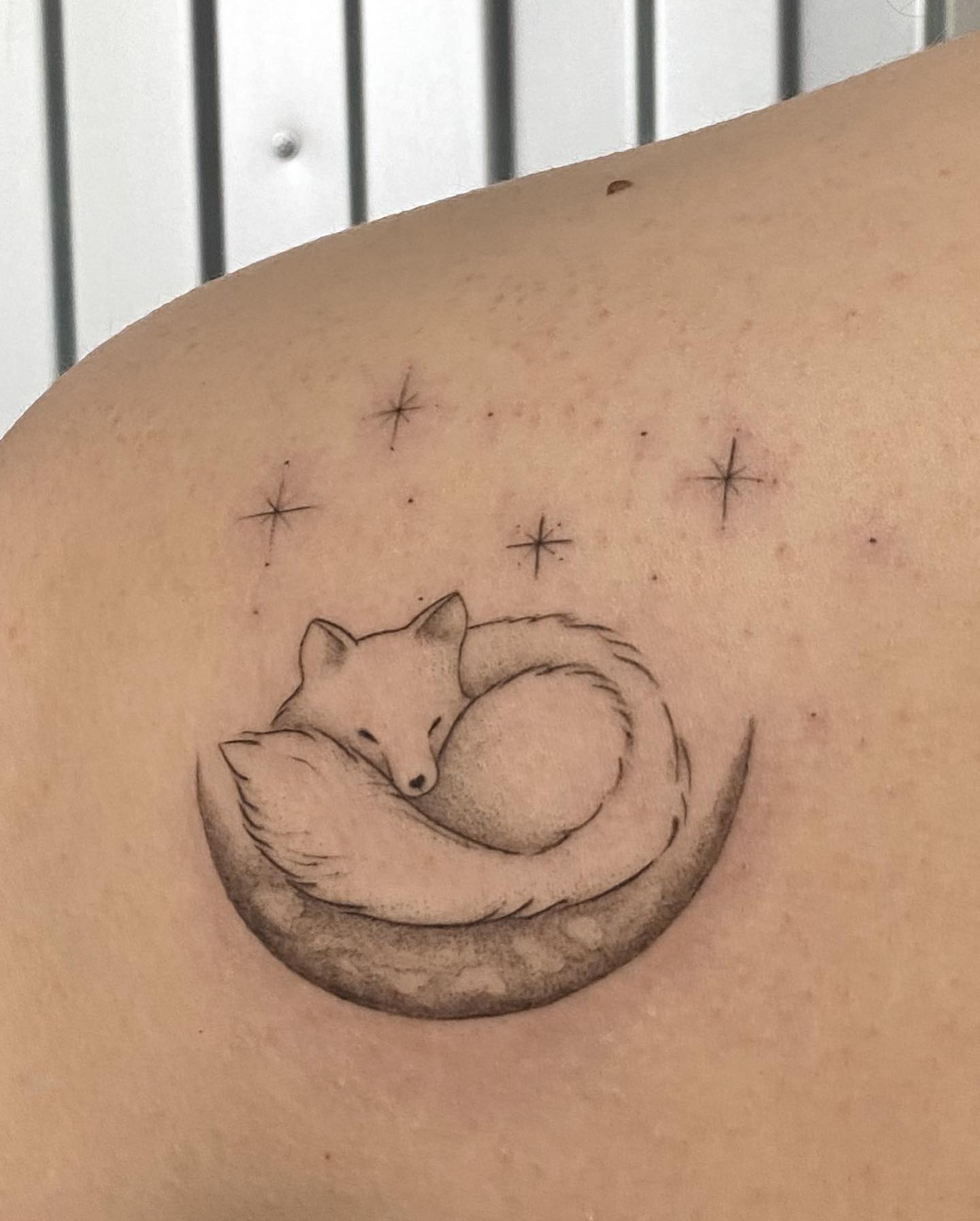 The Curled Fox Tattoo 2