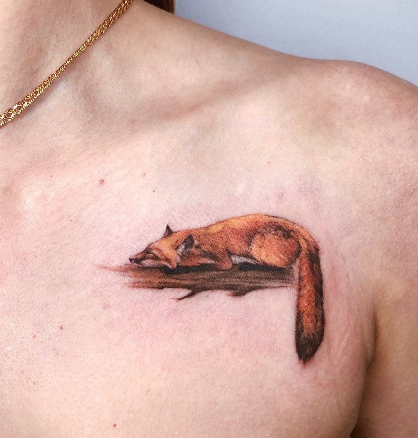 The Curled Fox Tattoo 4