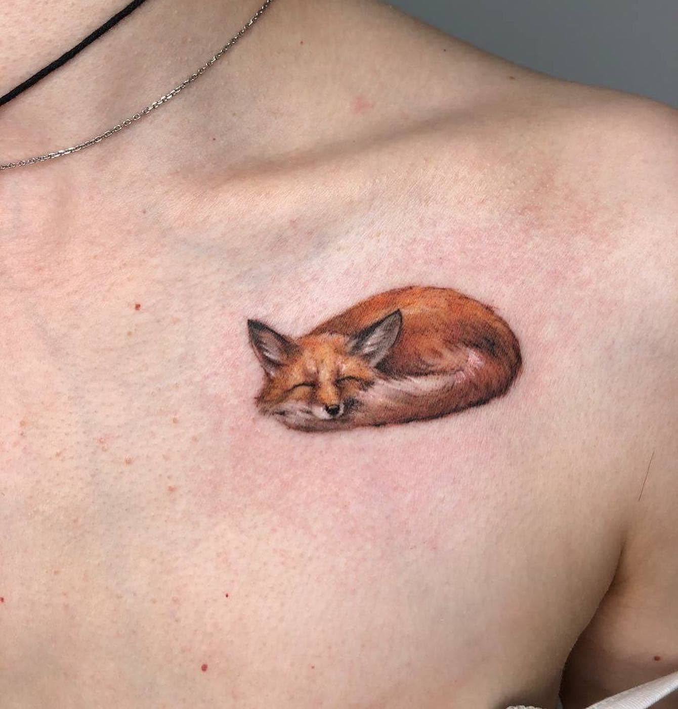 The Curled Fox Tattoo 5