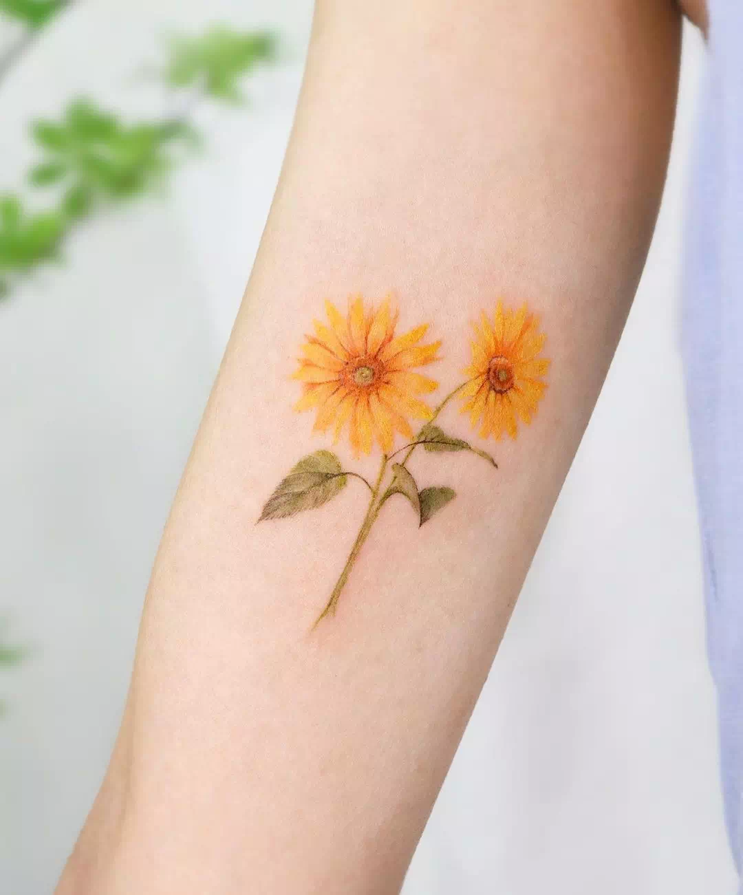 two little Sunflowers