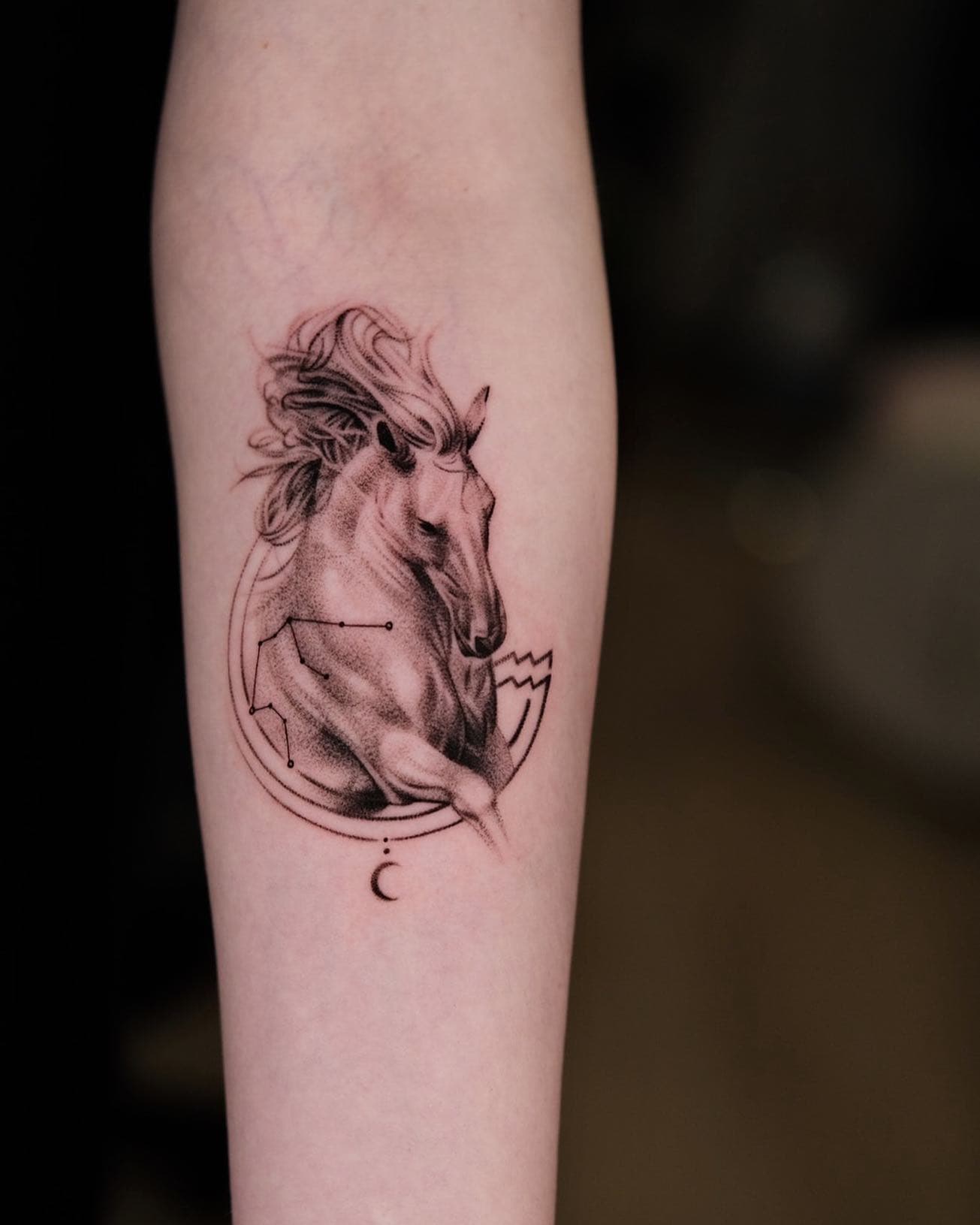 Forearm Black Horse Tattoo  Horse tattoo, Horse tattoo design, Small horse  tattoo