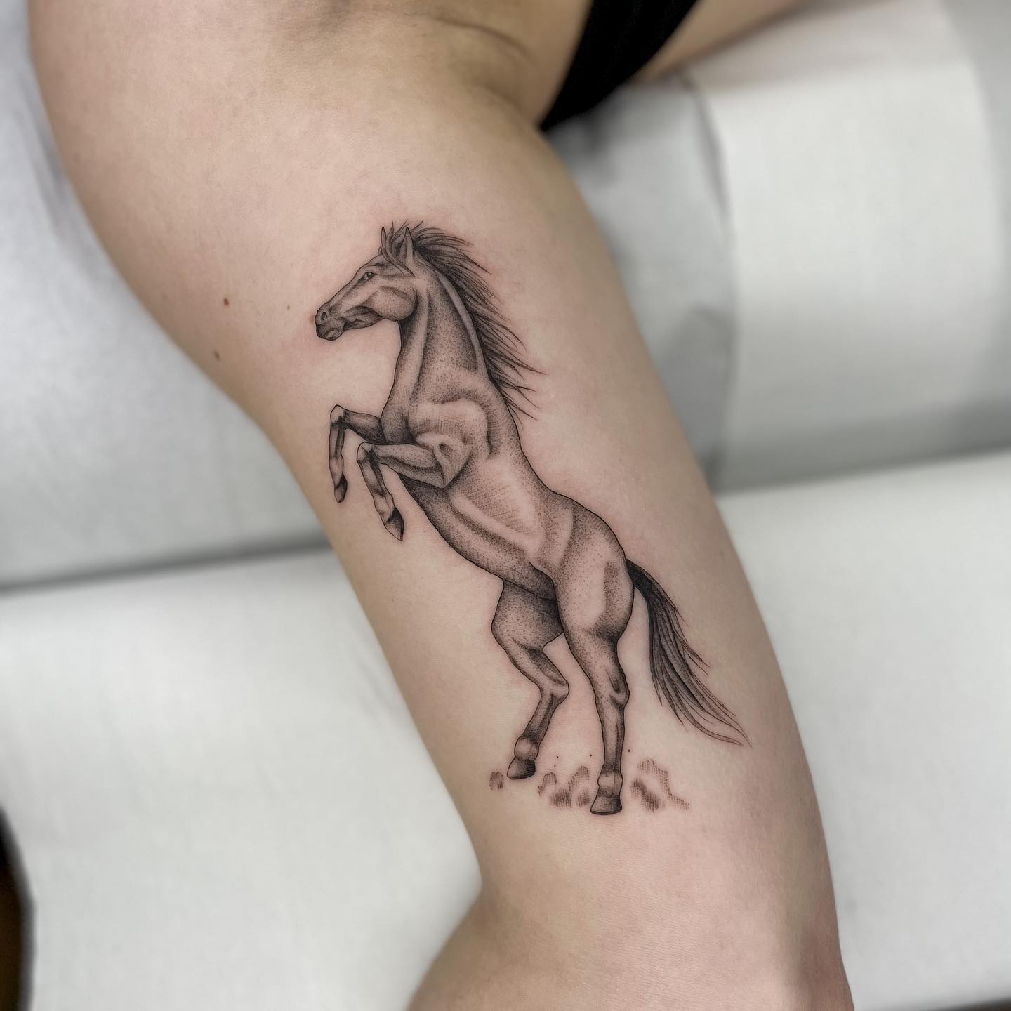 Forearm Black Horse Tattoo  Horse tattoo, Horse tattoo design, Small horse  tattoo