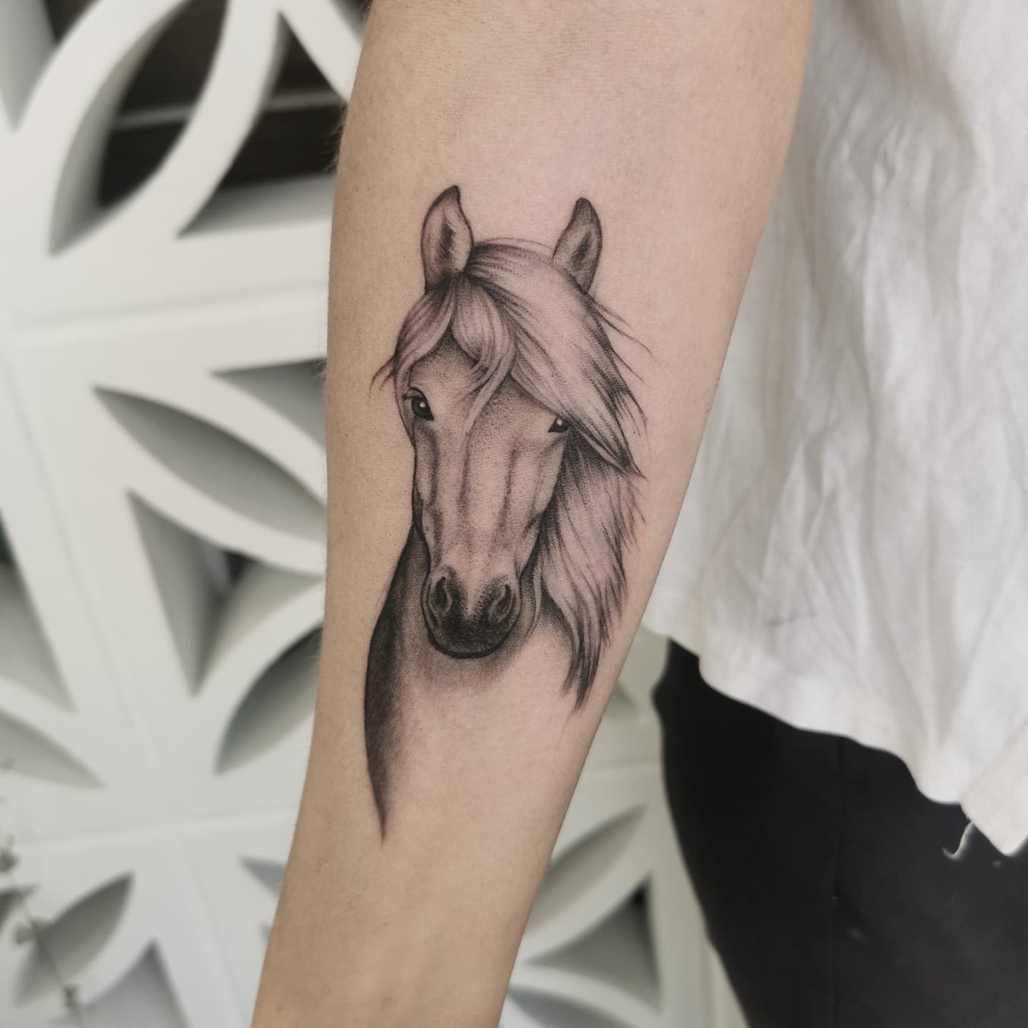 Tatuaje de un caballo negro en el antebrazo
