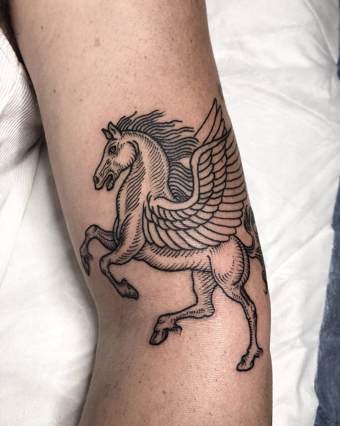 Ideas de tatuajes de caballos 11