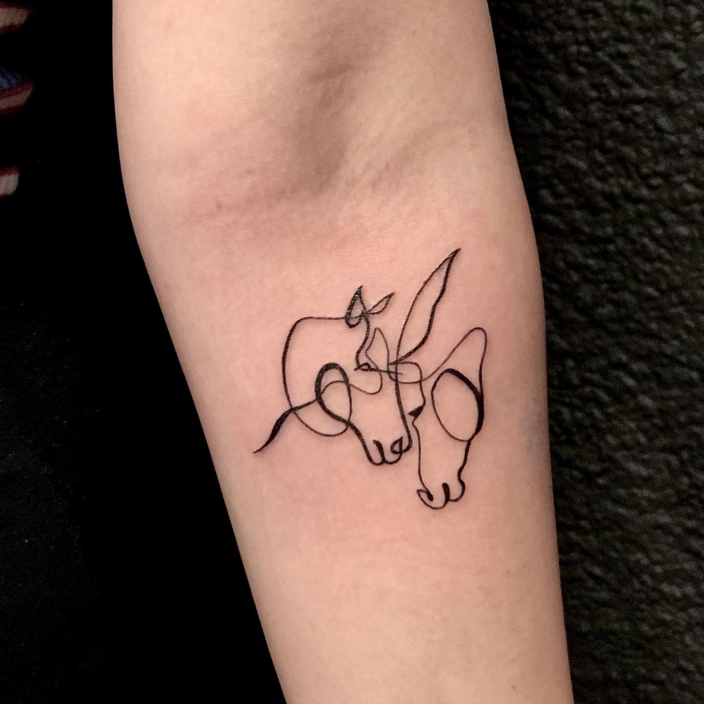 Leg Horse Tattoo Calf Print