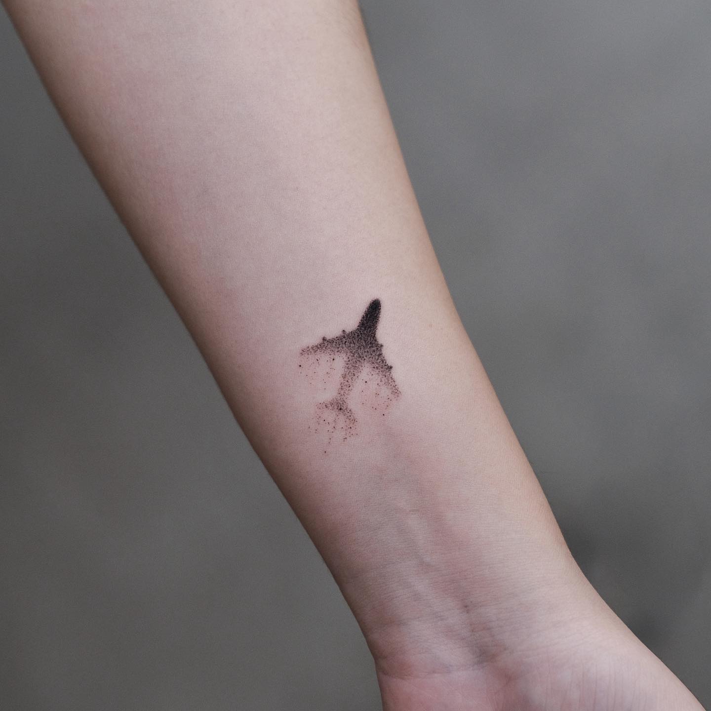 Matching Airplane Tattoo Over Wrist 2