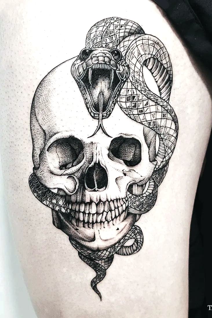 Snake Skull Tattoo