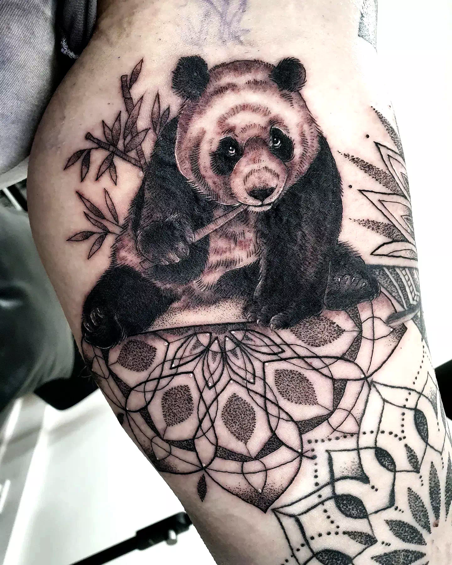 Blue Panda Tattoo Arm Detailed Ink