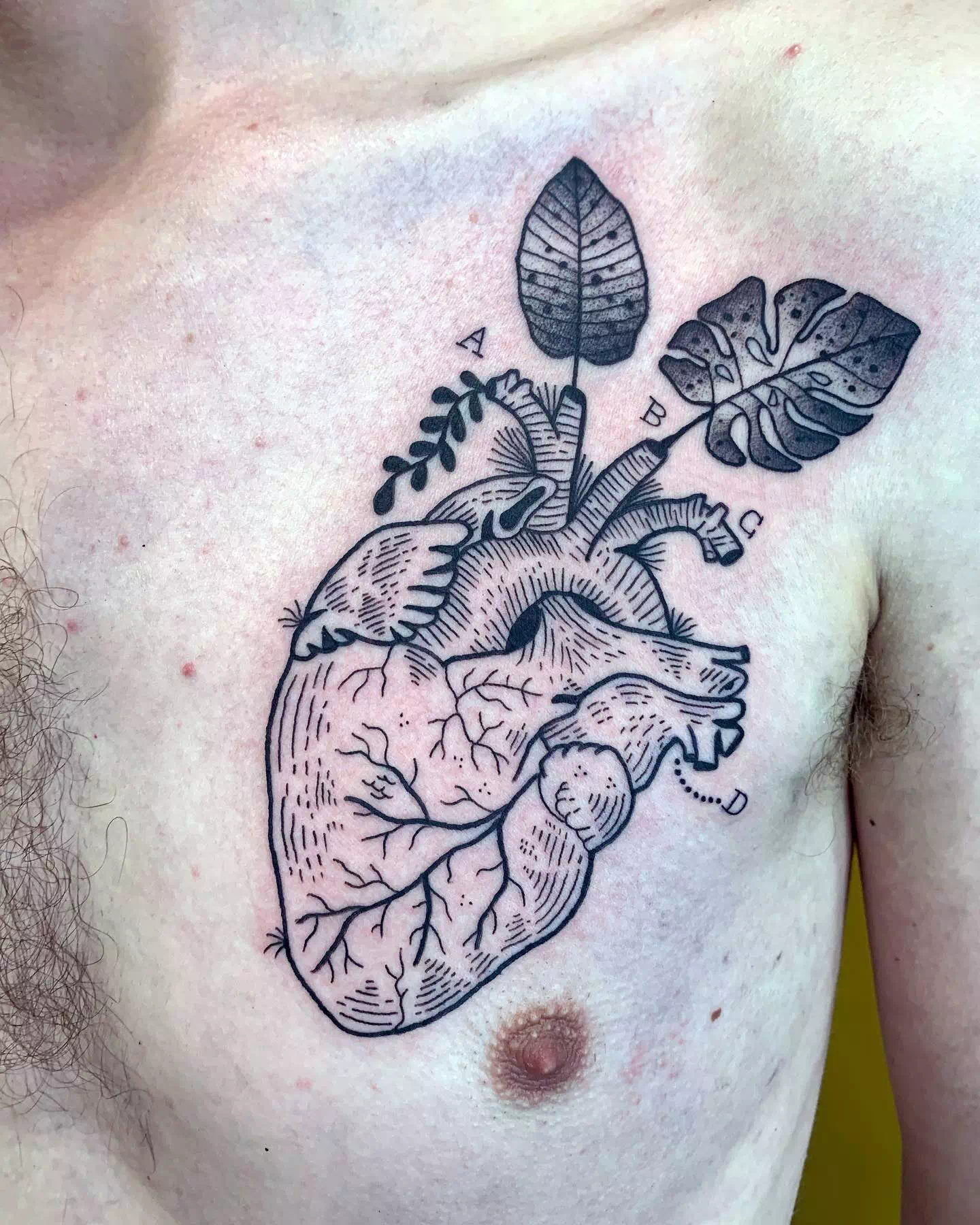 Herz-Tattoo auf der Brust für Männer