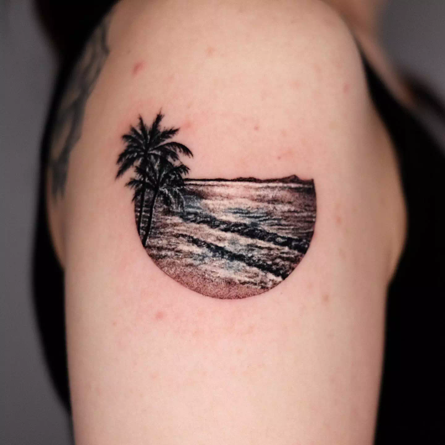 Tatuaje de una palmera circular 1