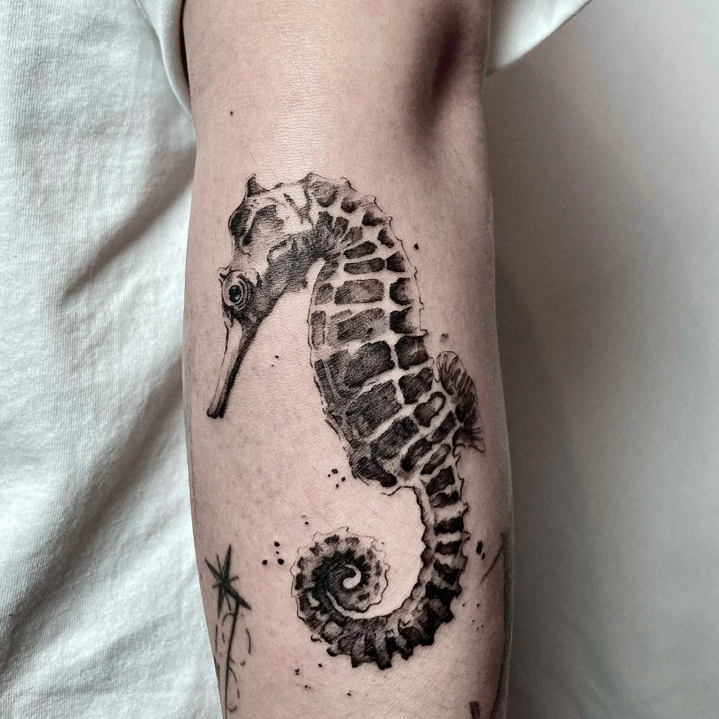 Seahorse tattoo ideas 6