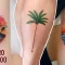 cubierta del tatuaje de la palmera