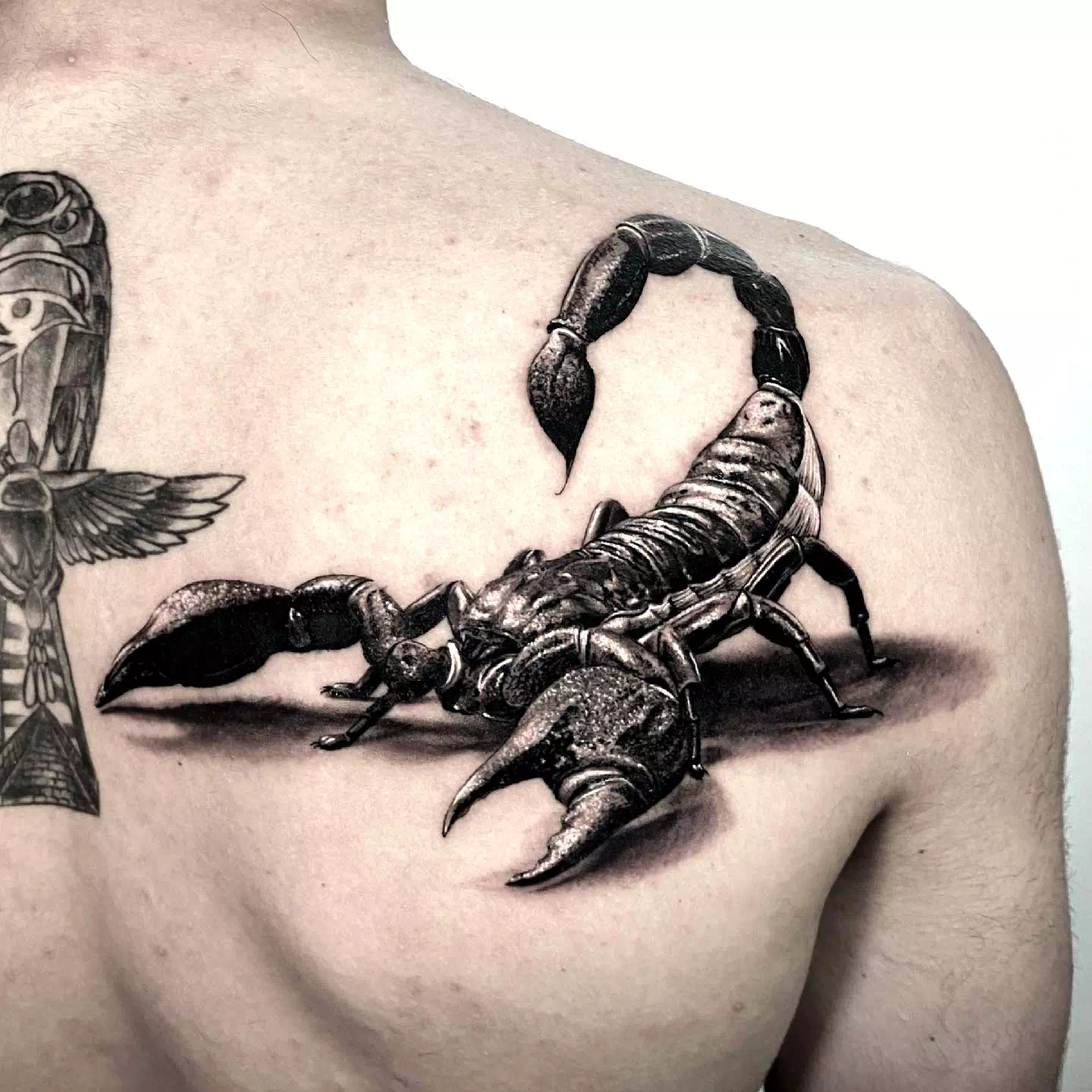 Tatuaje detallado de un escorpión en el antebrazo Tradicional 2
