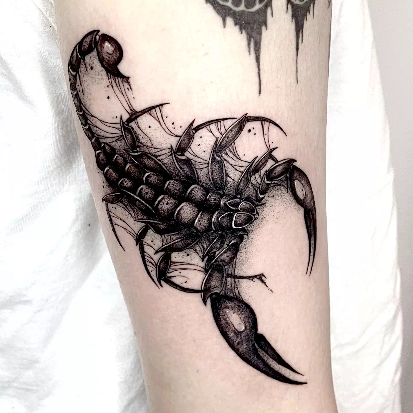 Detailed Forearm Scorpion Tattoo Traditional