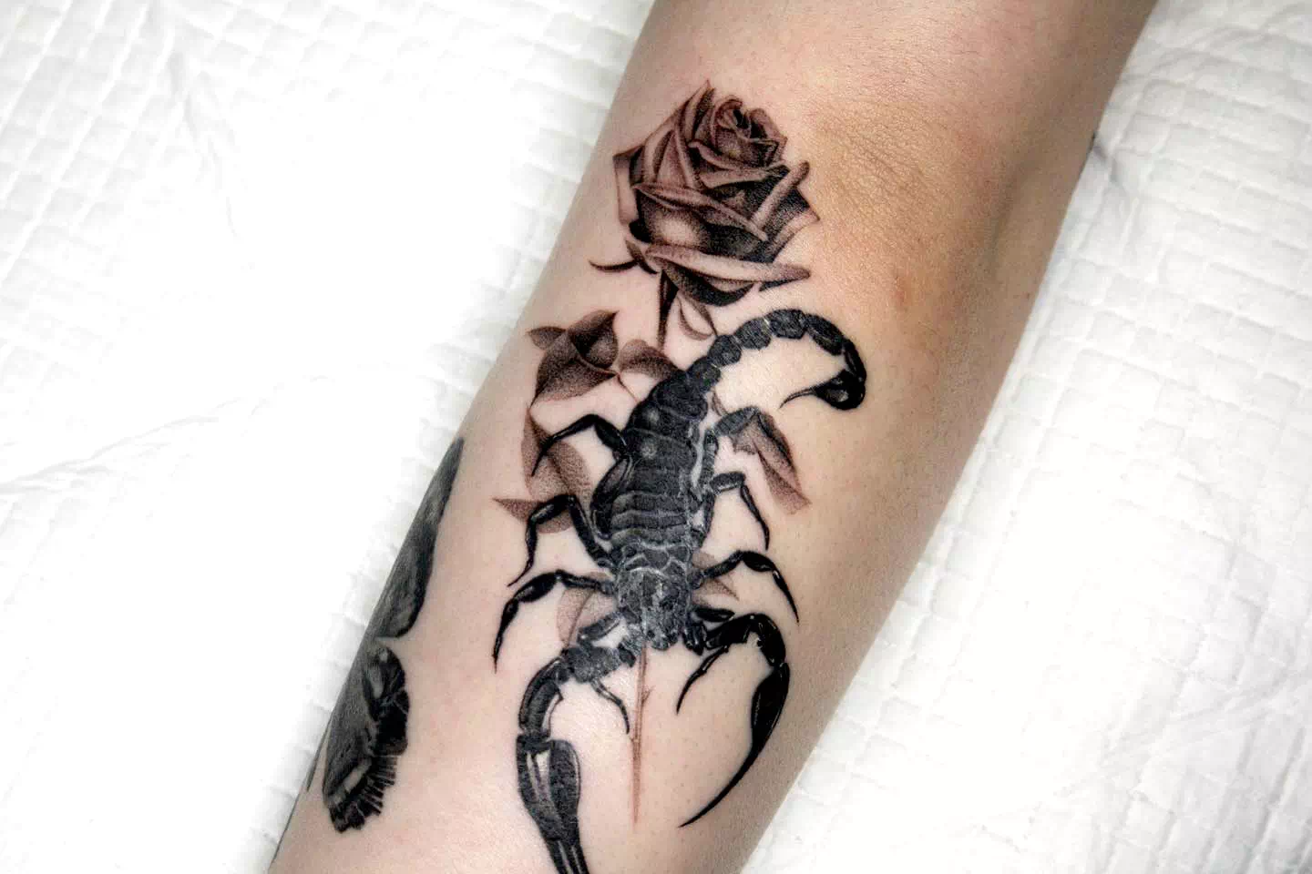 Feminine Scorpio Tattoos With A Rose Print 1