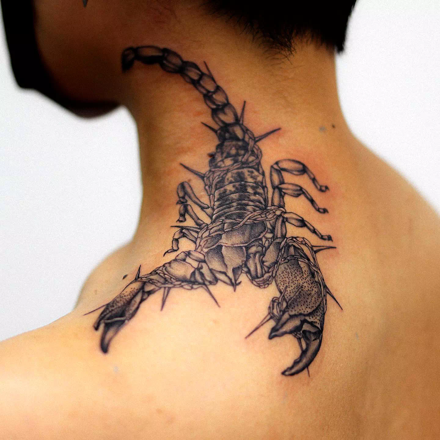 Skorpion Tattoo über Hals Brust 1