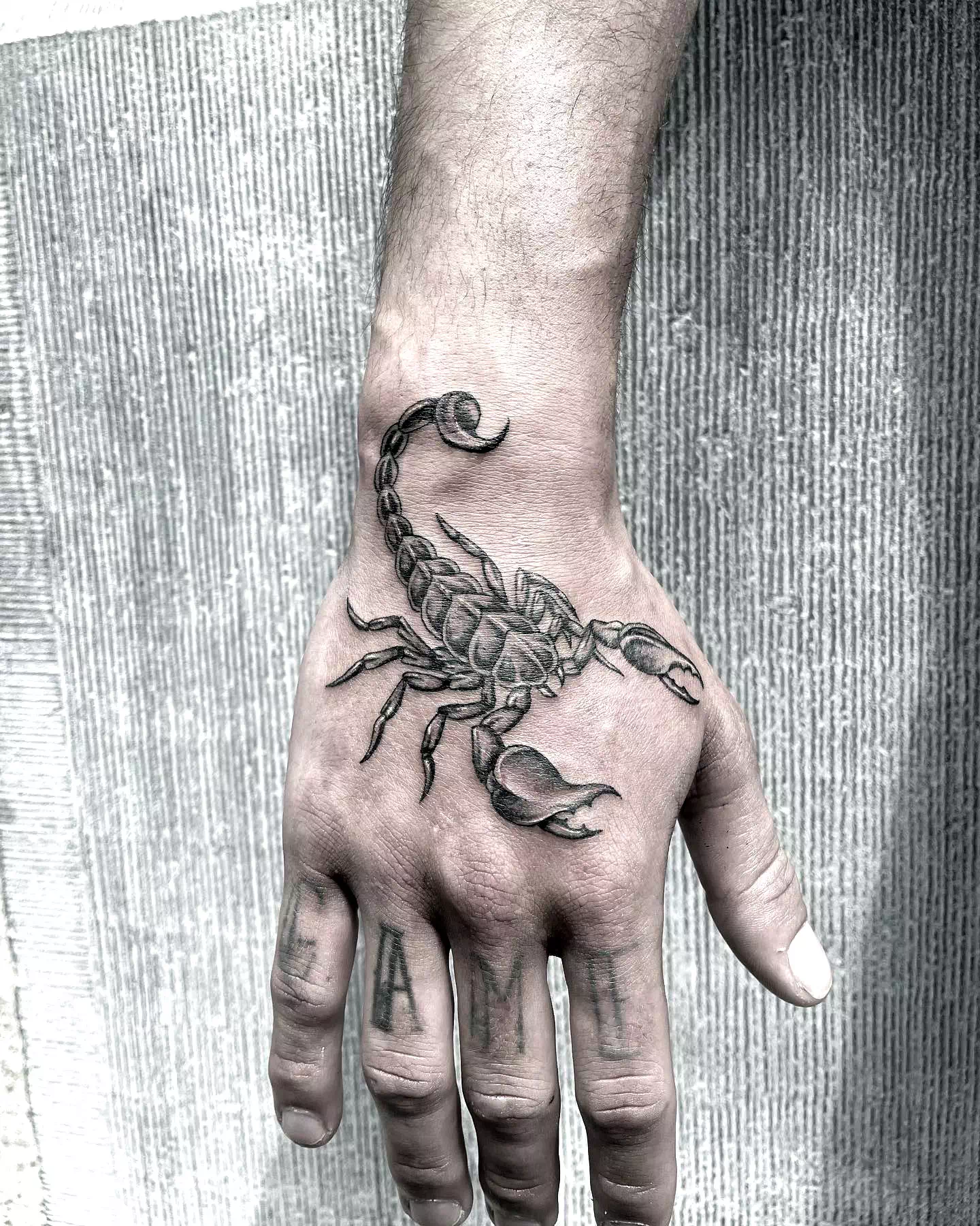 Scorpion Tattoo Simple Arm Design