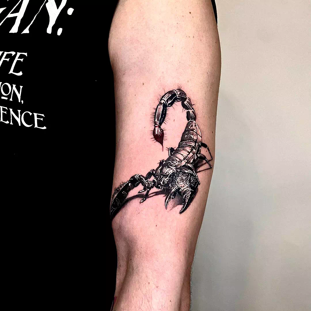 Skorpion Tattoo Einfaches Schwarzes Design