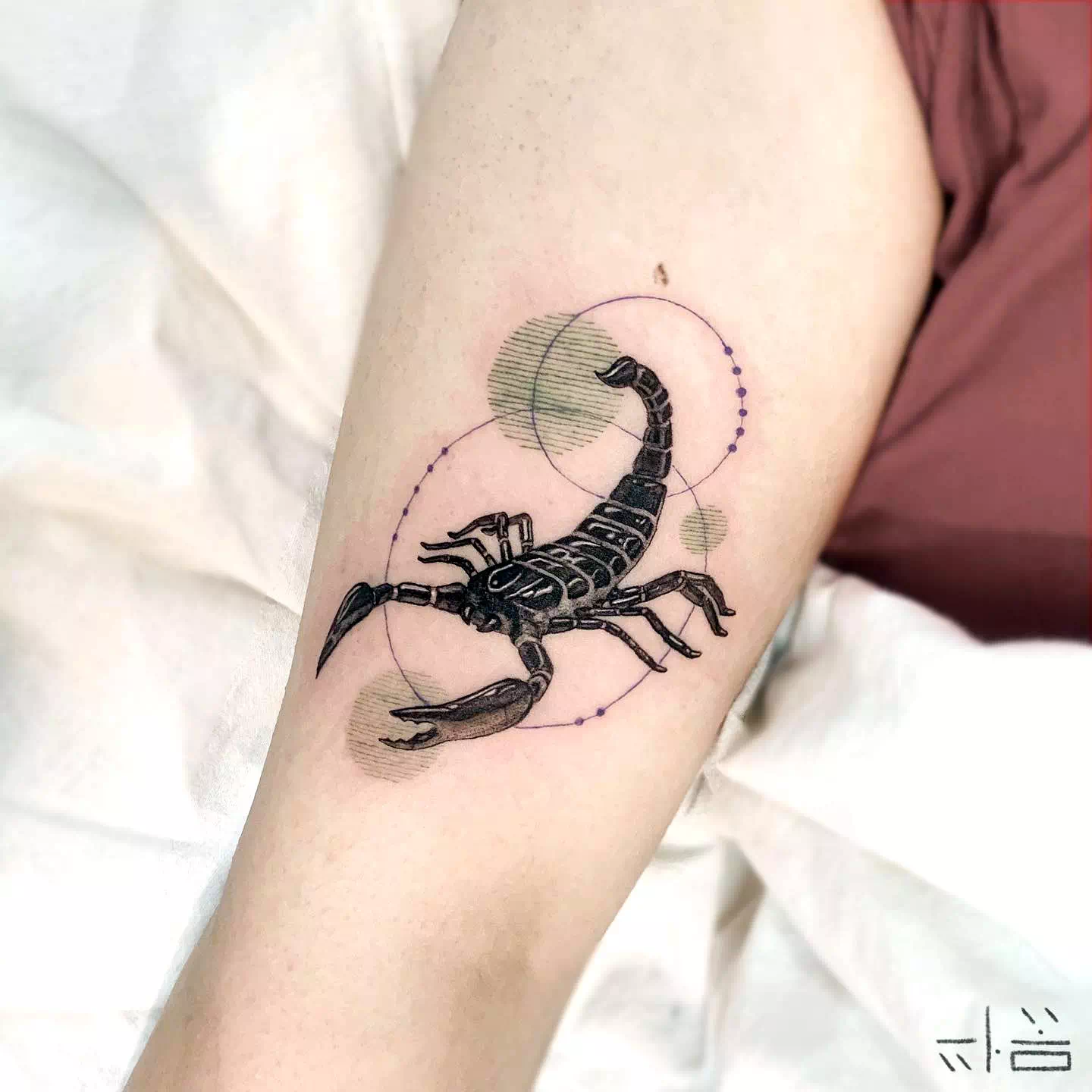 Skorpion Tattoos Bilder über Arm 2