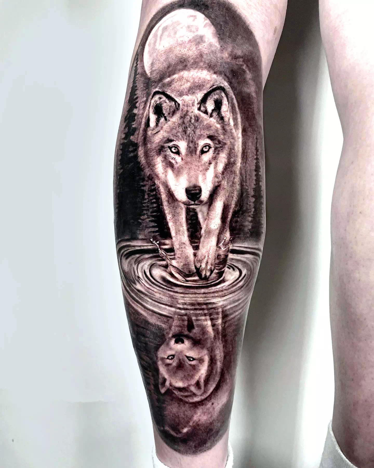 Tatuaje de una ternera de lobo