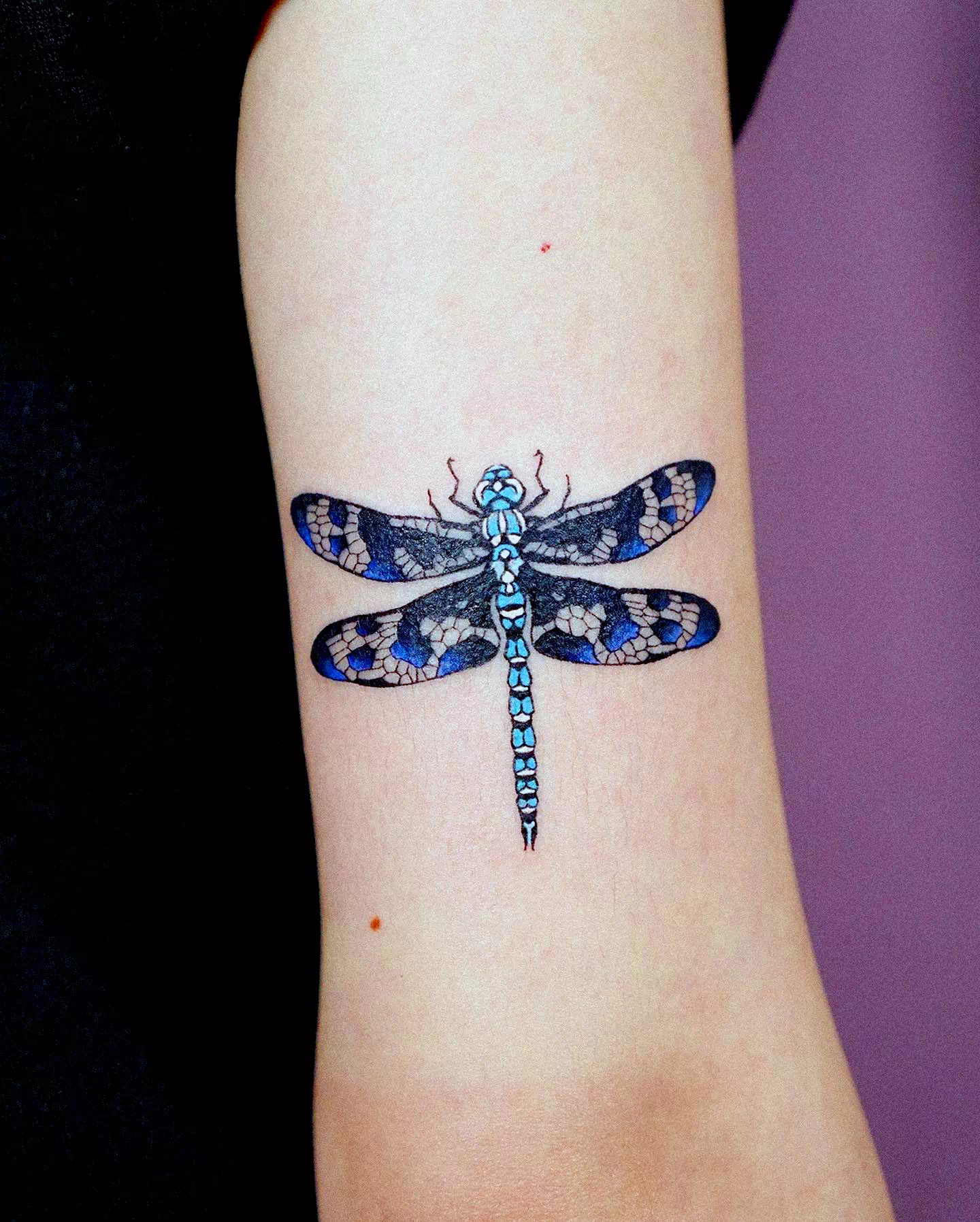 Libelle Tattoo Klein Blau Druck