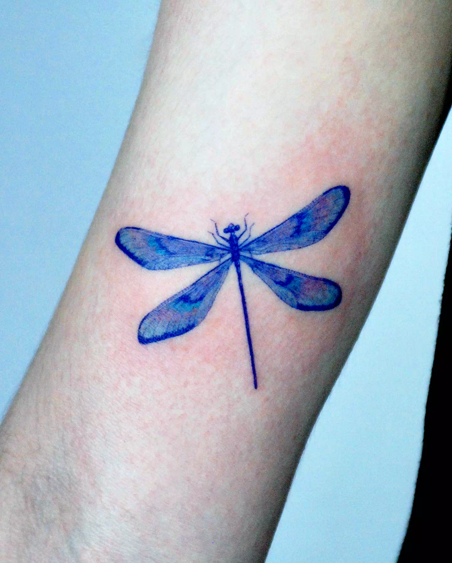 Dragonfly tattoo ideas 8