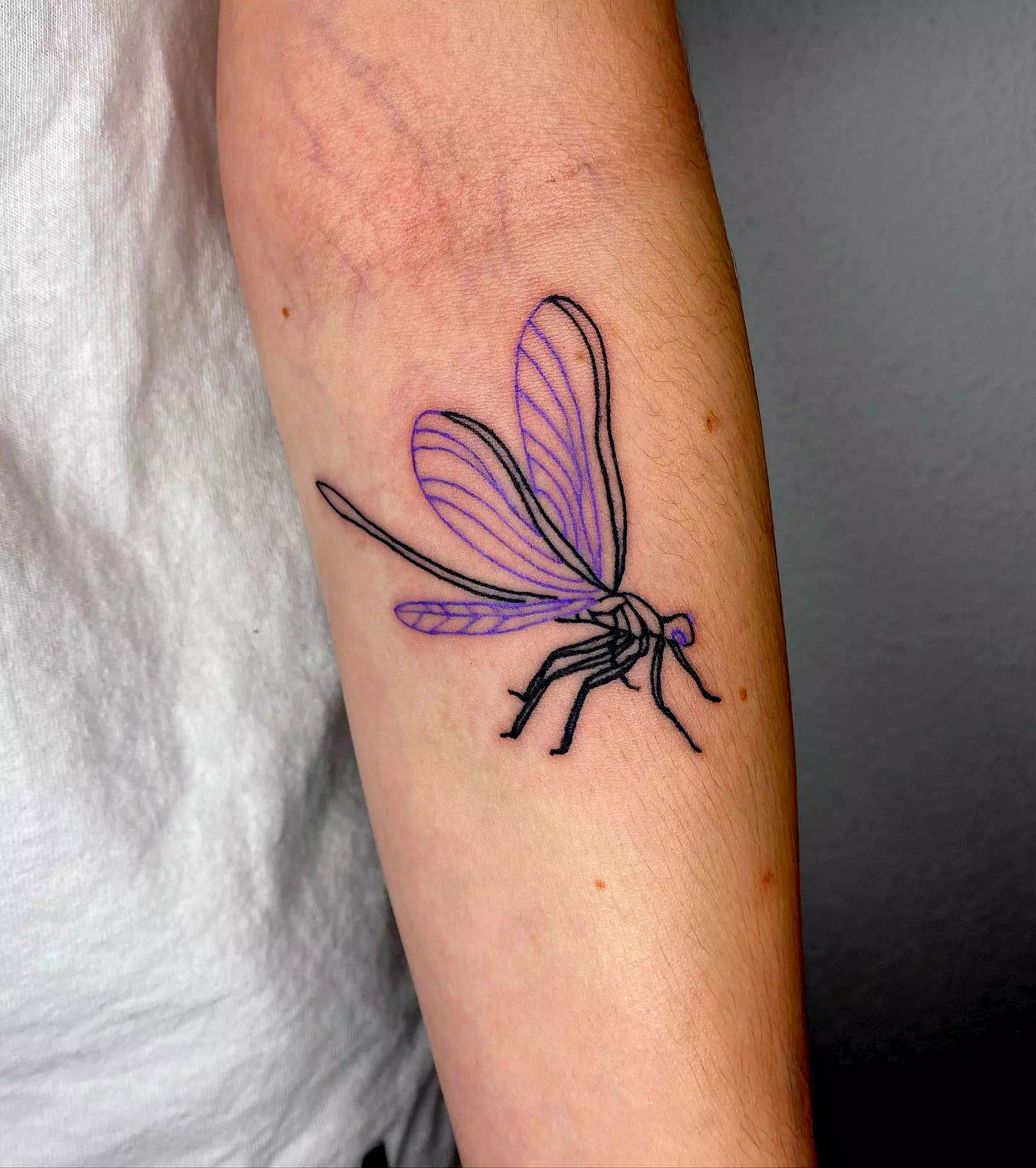Ideas de tatuajes de libélulas 9