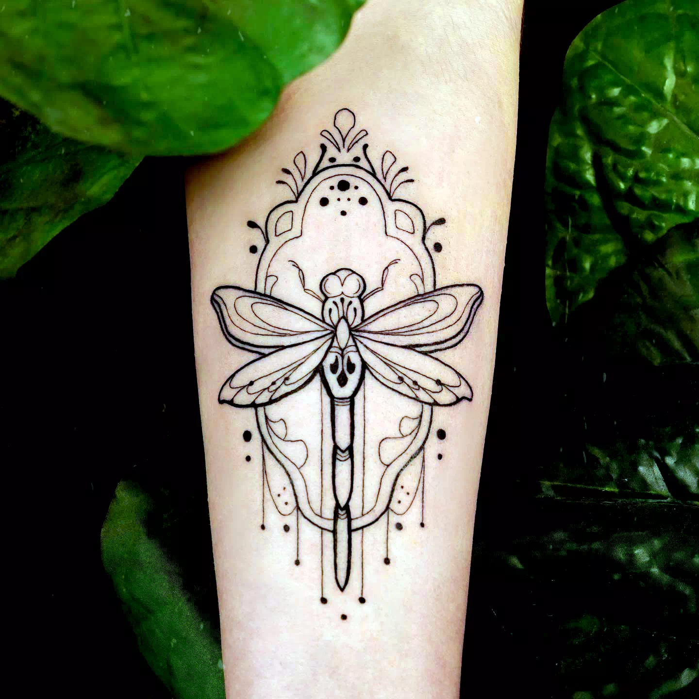 Diseño de tatuaje de libélula en el antebrazo