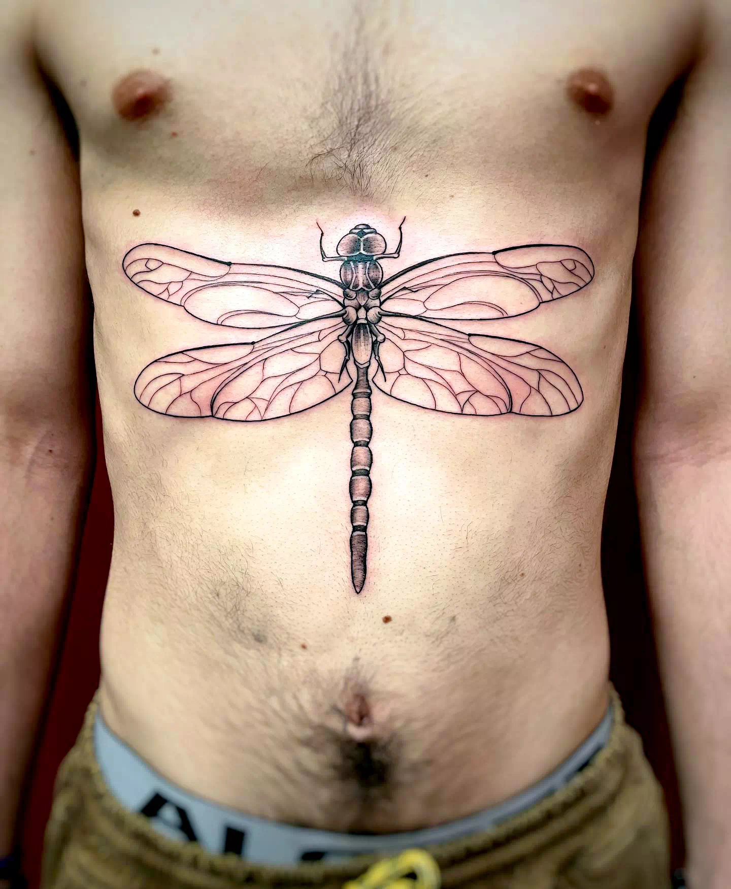 Front Stomach Black Dragonfly Idea