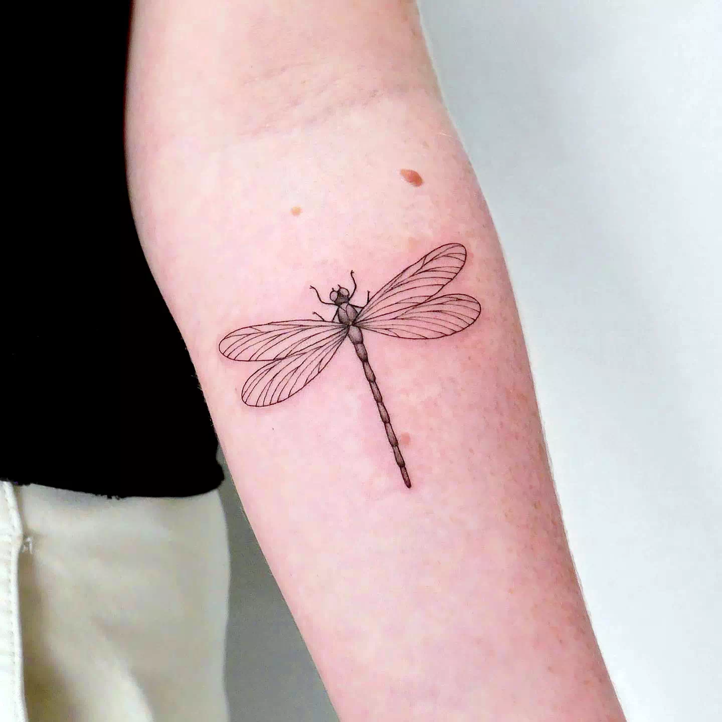 Pequeño tatuaje de libélula Idea simple