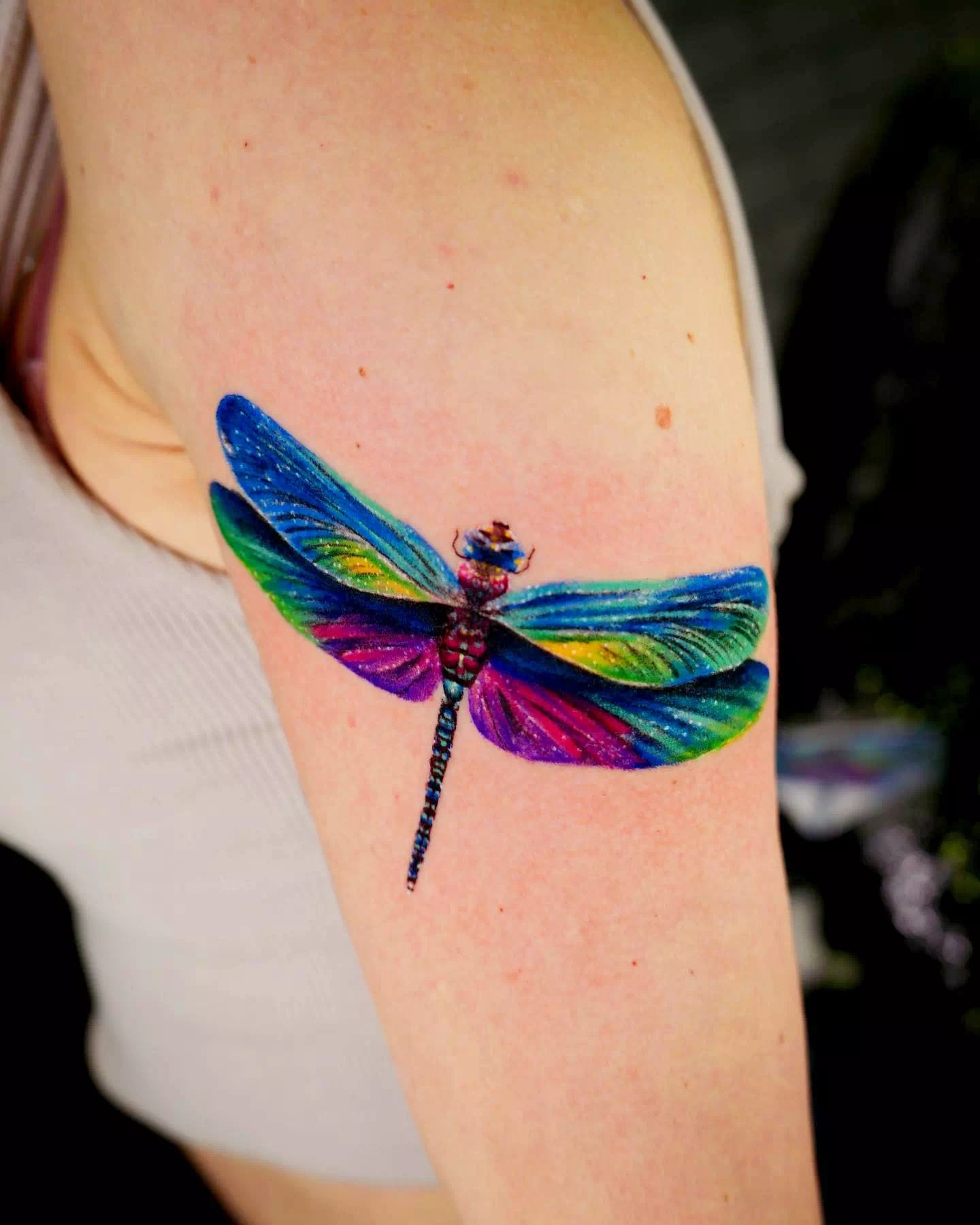 Tatuaje de libélula en acuarela
