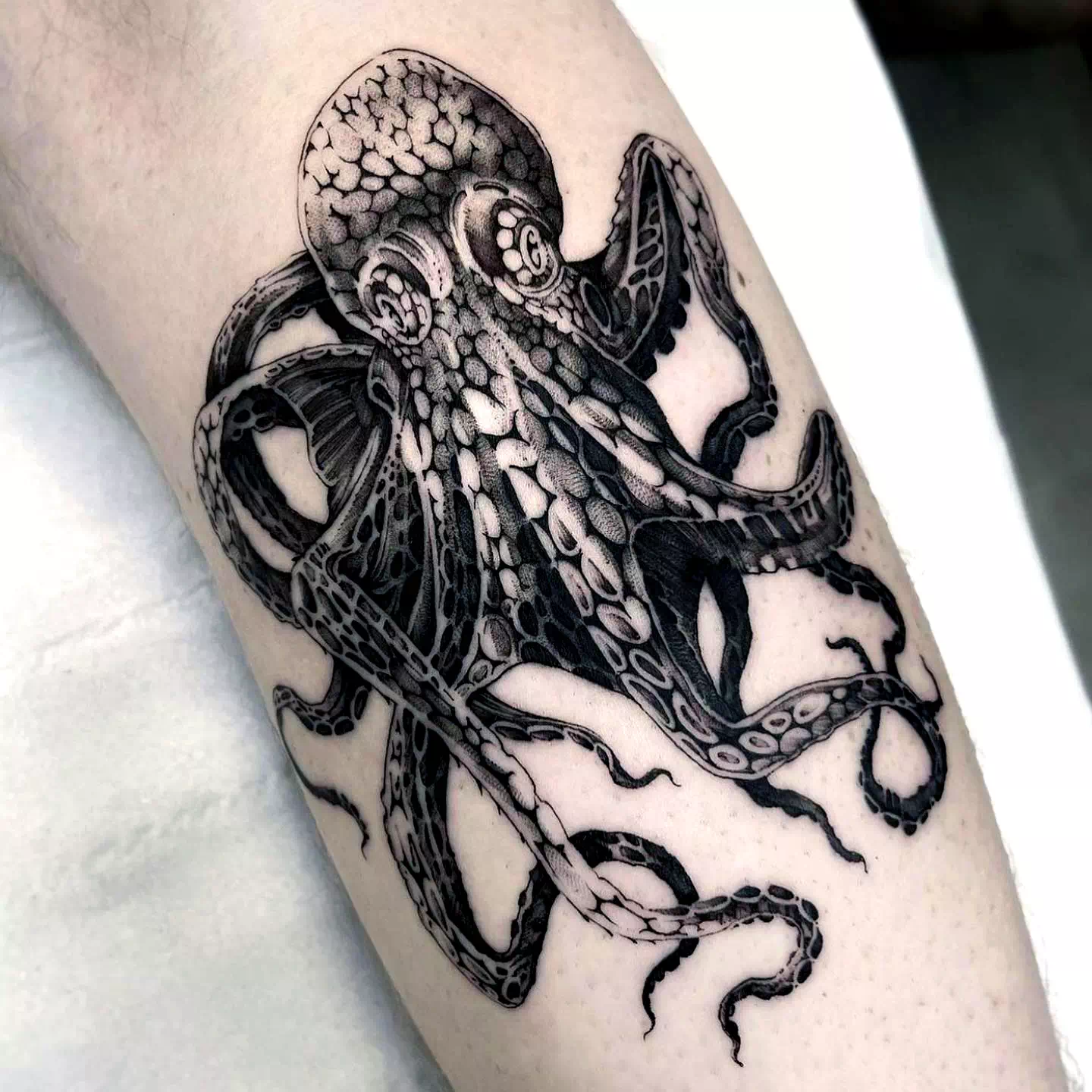 Elephant Octopus Tattoo 3