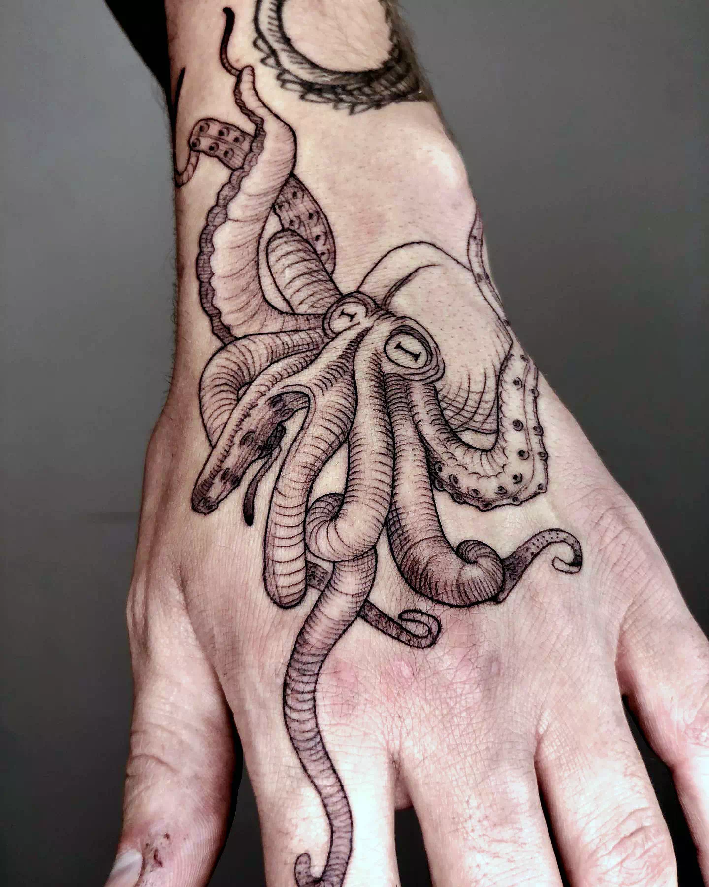 Oktopus und Anker Tattoo 2