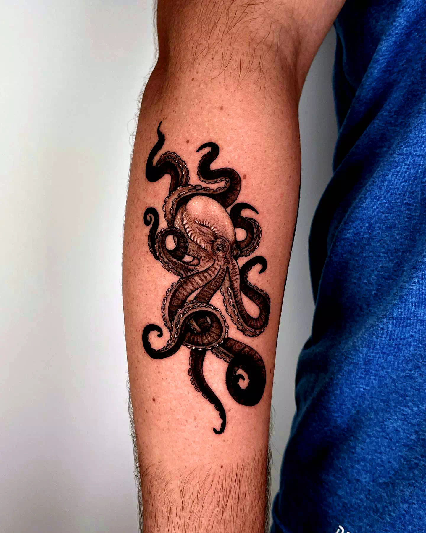 Realistic Octopus Tattoo 3