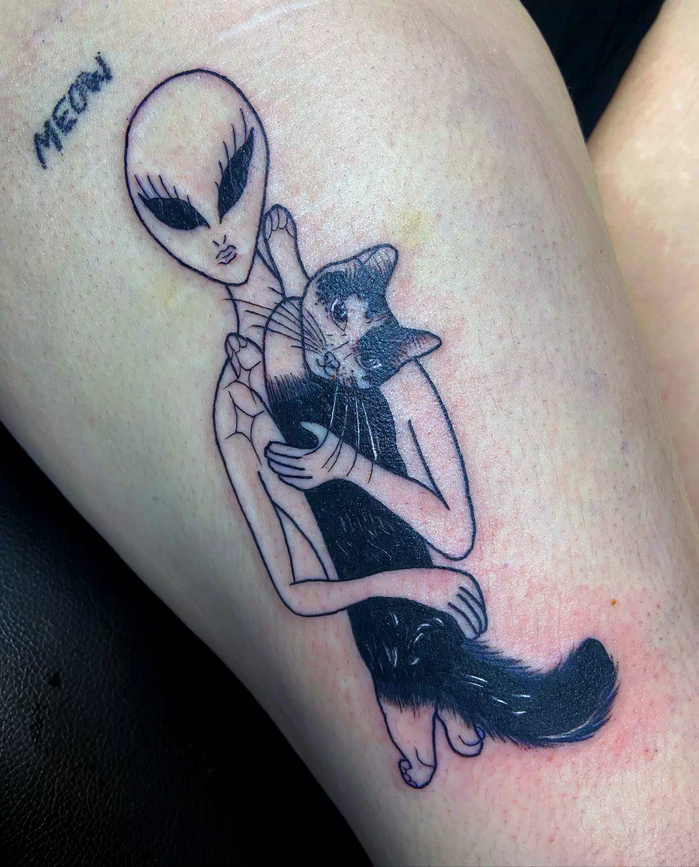 Aliens And Cats Yes Please 1