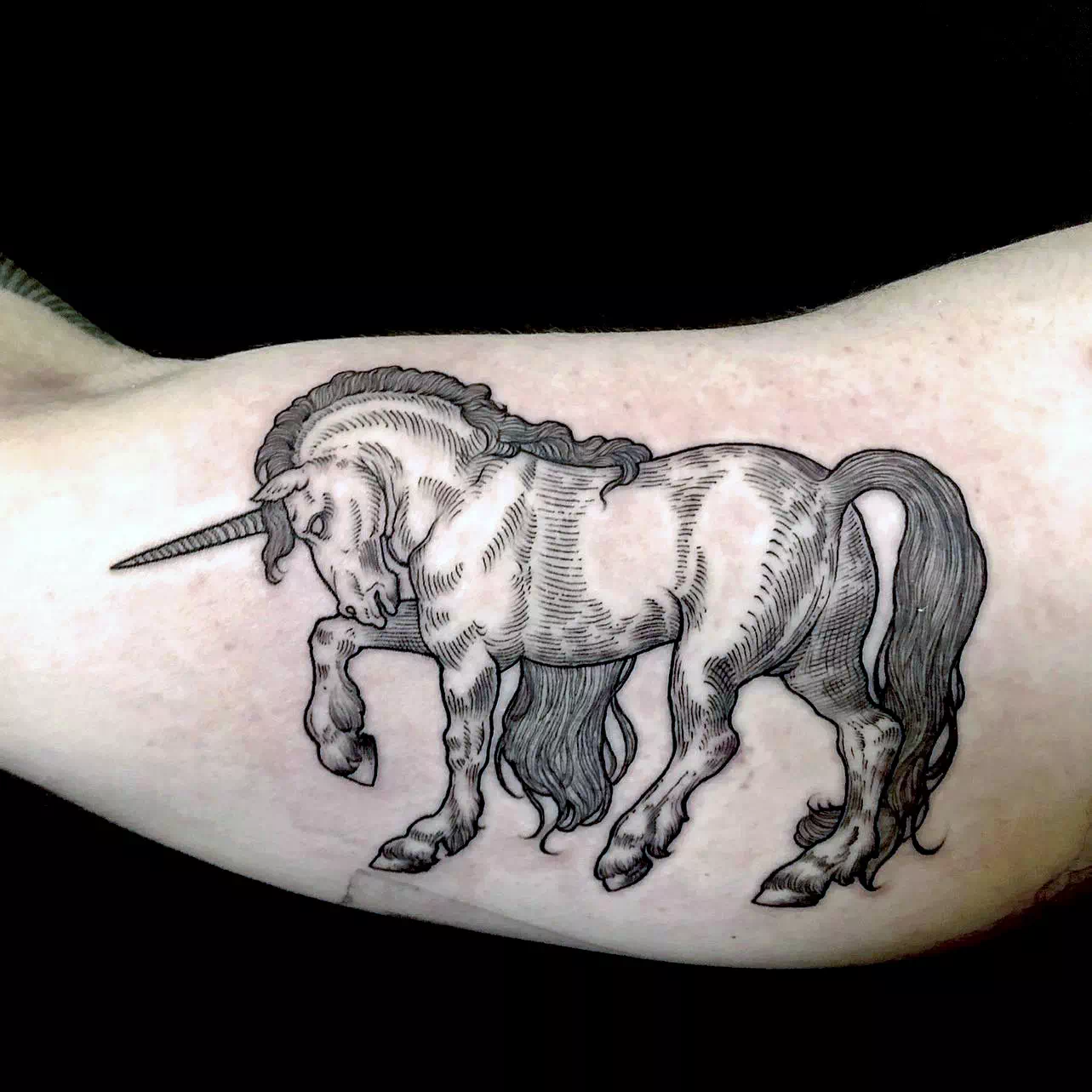 Schwarzes Einhorn Tattoo Design Mythischer Druck