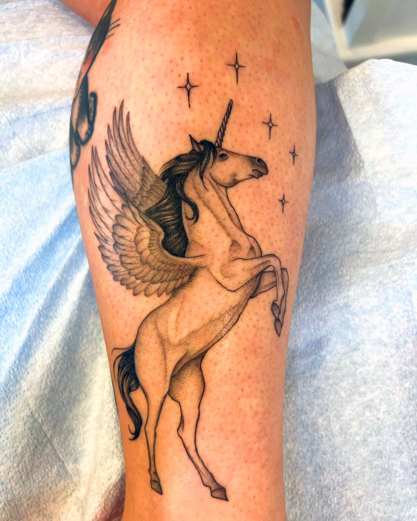 Tatuaje de unicornio negro para mujer